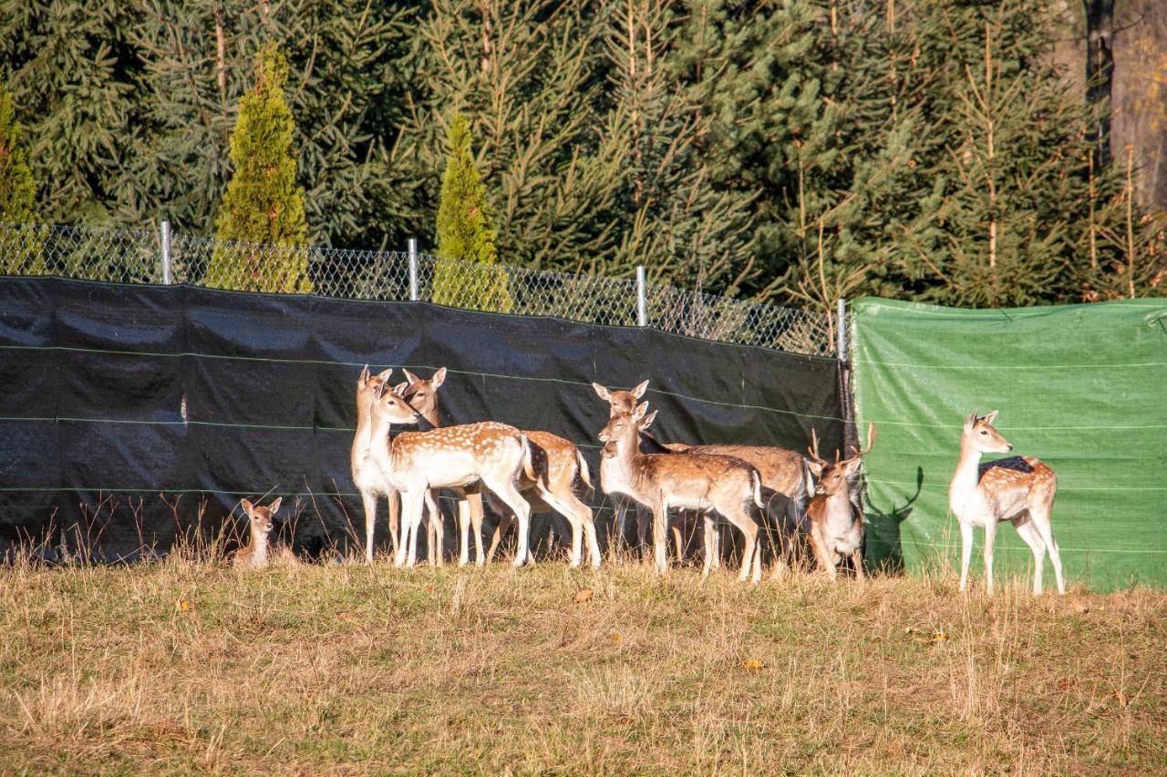 Grand Tatry - Miejsce Na Wyjatkowy Pobyt Dla Ciebie I Twojej Rodziny! - Sauna I Jacuzzi Wliczone W Cene Pobytu -10 Minut Pieszo Od Term Bania Bialka Tatrzanska Exteriör bild