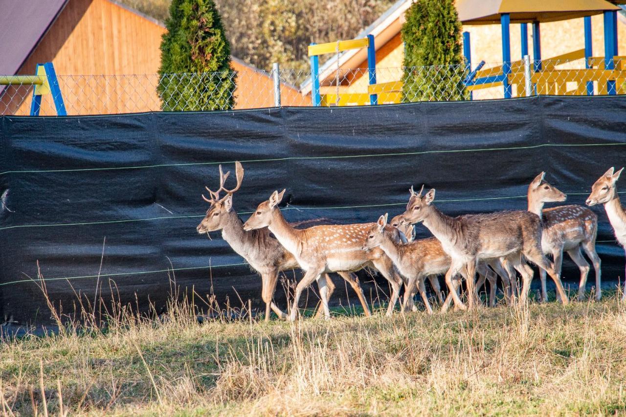 Grand Tatry - Miejsce Na Wyjatkowy Pobyt Dla Ciebie I Twojej Rodziny! - Sauna I Jacuzzi Wliczone W Cene Pobytu -10 Minut Pieszo Od Term Bania Bialka Tatrzanska Exteriör bild